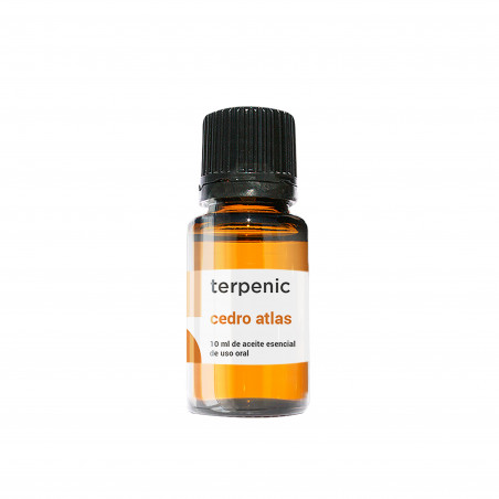 Comprar online CEDRO ATLAS 10 ML ACEITE ESENCIAL TERPENIC LABS - Coliseum