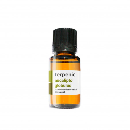 Comprar EUCALIPTO GLOBULUS 10 ML ACEITE ESENCIAL TERPENIC LABS online - Coliseum