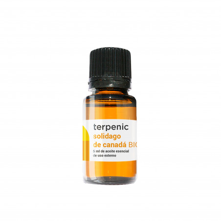 Comprar SOLIDAGO DE CANADA BIO 5ML ACEITE ESENCIAL TERPENIC LABS