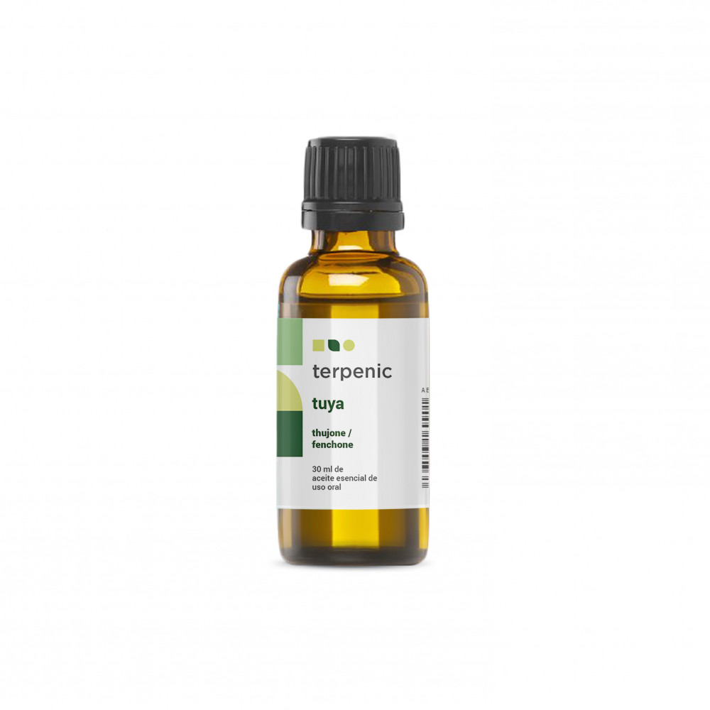 Comprar TUYA/THUYA 30 ML ACEITE ESENCIAL TERPENIC LABS online - Coliseum