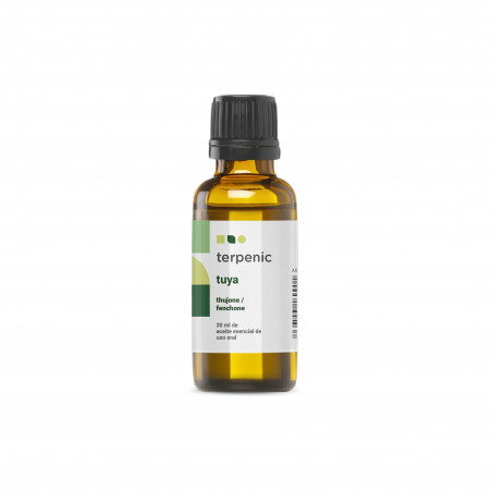 Comprar TUYA/THUYA 30 ML ACEITE ESENCIAL TERPENIC LABS online - Coliseum