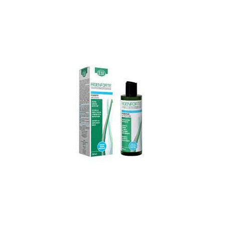 Comprar RIGENFORTE CHAMPU ANTICASPA 250 ML TREPAT DIET online