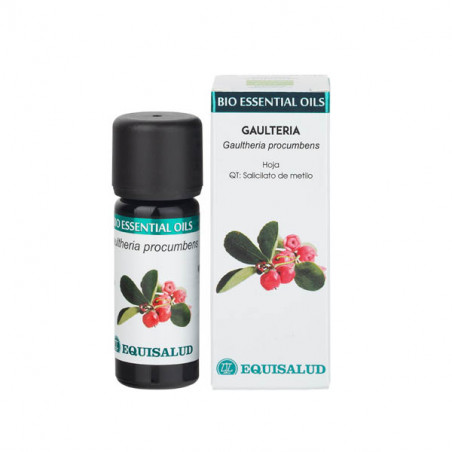 Comprar GAULTERIA BIO ESSENTIAL O.E 10 ML EQUISALUD online - Farmacia Coliseum