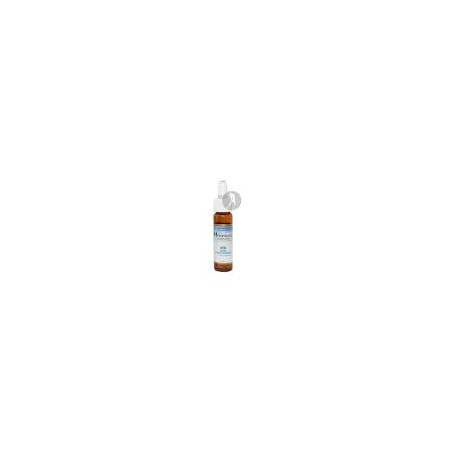 Comprar FM HONEYSUCKLE FIORI MEDITERRANEI 10 ML FORZA VITALE