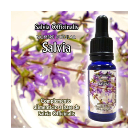 Comprar TRIUNIDAD SALVIA 30 ML online - Farmacia Coliseum