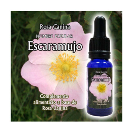 Comprar TRIUNIDAD ESCARAMUJO 30 ML online - Farmacia Coliseum