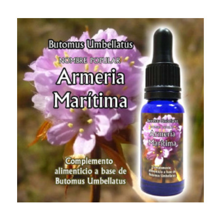 Comprar online TRIUNIDAD ARMERIA MARITIMA 30 ML - Farmacia Coliseum