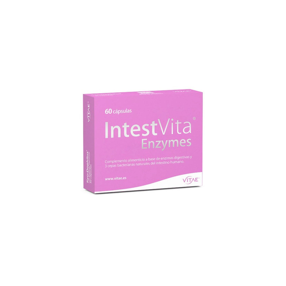 INTESTVITA ENZIMAS DIGESTIVAS 60 CAP VITAE