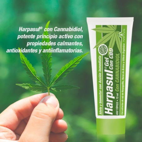 Comprar HARPASUL GEL CON CBD CANNABIDIOL 75ML NATYSAL - Farmacia Coliseum