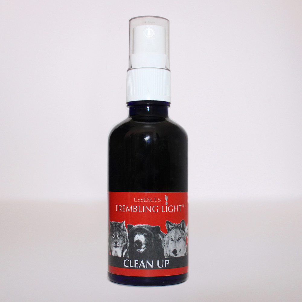 Comprar TREMBLING LIGTH CLEAN UP SPRAY 50 ML. online - Coliseum