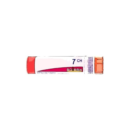Comprar ABROTANUM 7 CH (7CH) GRANULOS 4 GR BOIRON online - Coliseum