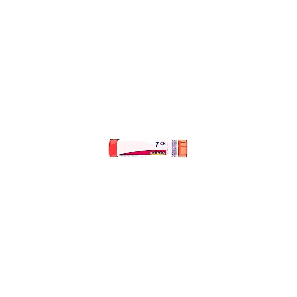 Comprar AMYLIUM NITROSUM 7 CH (7CH) GRANULOS 4 GR BOIRON online