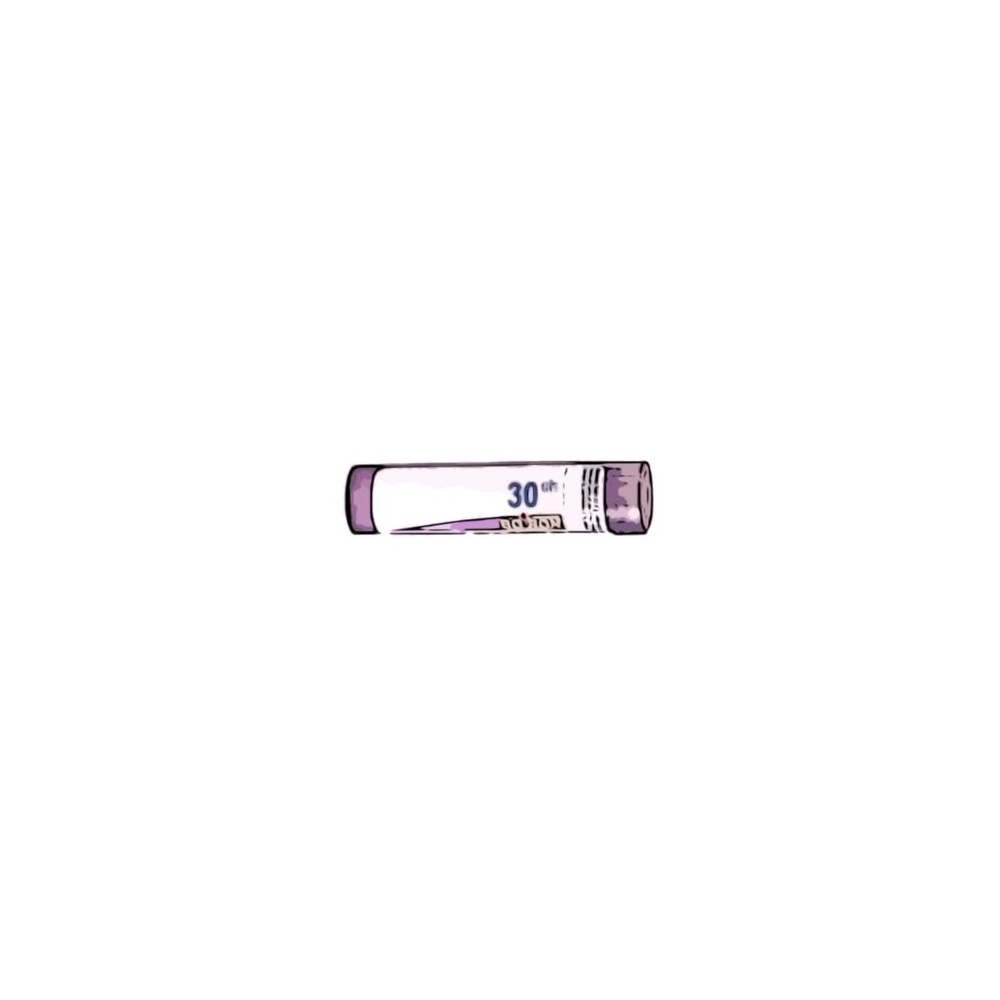 Comprar ARSENICUM IODATUM 30 CH (30CH) GRANULOS 4 GR BOIRON online