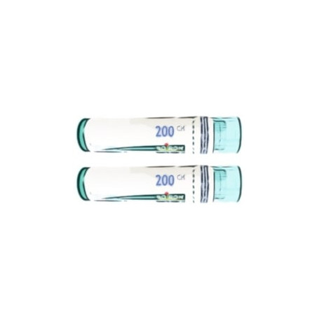 CALCAREA SILICICA CALCIUM SILICICUM 200 CH 200CH TUBO DOBLE GRANULOS 4 GR BOIRON