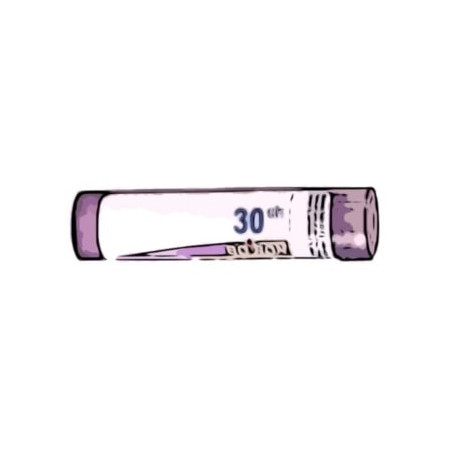 Comprar KALIUM SULFURICUM 30 CH (30CH) GRANULOS 4 GR BOIRON online
