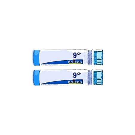 Comprar PARATYPHOIDINUM B 9 CH (9CH) TUBO DOBLE GRANULOS 4 GR BOIRON