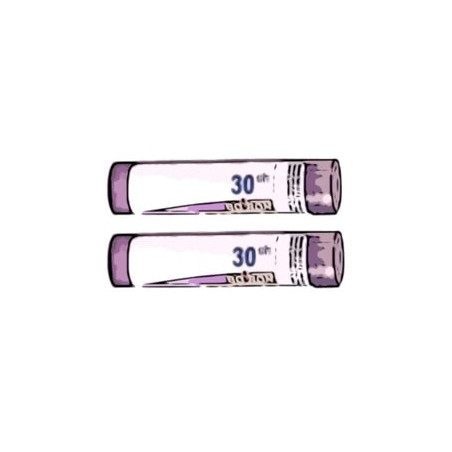 Comprar POUMON HISTAMINE 30 CH (30CH) TUBO DOBLE GRANULOS 4 GR BOIRON