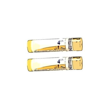 Comprar RHUS TOXICODENDRON 4 CH (4CH) TUBO DOBLE GRANULOS 4 GR BOIRON