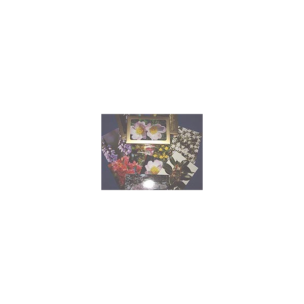 Comprar POSTALES 39 FLORES DR. BACH online - Farmacia Coliseum