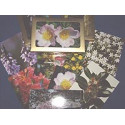 Comprar POSTALES 39 FLORES DR. BACH online - Farmacia Coliseum