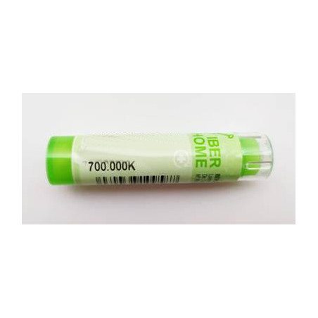 Comprar RUTA GRAVEOLENS 700.000 K (700.000K) GRANULOS 4 GR IBERHOME