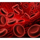 Subcategoría Anemia