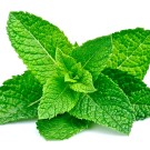 Subcategoría Complementos naturales con menta