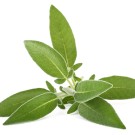 Subcategoría Complementos naturales con salvia