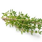 Subcategoría Complementos naturales con tomillo