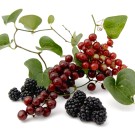 Subcategoría Complementos naturales con zarzaparrilla