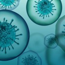 Subcategoría Productos para combatir las infecciones