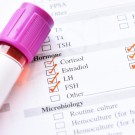 Subcategoría Sistema endocrino
