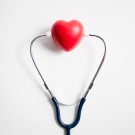 Subcategoría Sistema circulatorio y cardiovascular