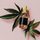 Subcategoría Aceites CBD