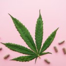 Subcategoría Capsulas CBD