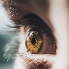 Subcategoría Salud ocular
