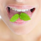 Subcategoría Halitosis