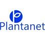 MEDICINA SISTEMICA - PLANTANET