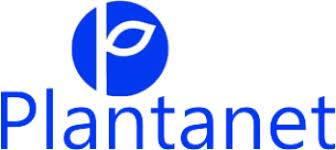 MEDICINA SISTEMICA - PLANTANET