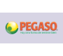 PEGASO