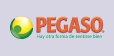 PEGASO