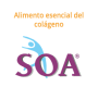 SOA - MICHEL STEPHAN