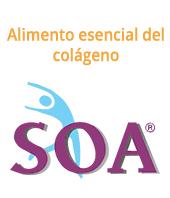 SOA - MICHEL STEPHAN