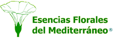 MEDITERRANEO - LAS PRIMERAS
