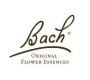 BACH NELSON