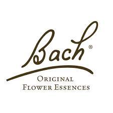 BACH NELSON