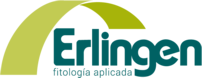 ERLINGEN